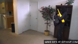 how-to-survive-a-burglary-o