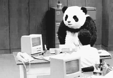 tumblr_n6k0aga55e1s1mjc5o1_500