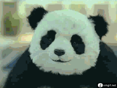 never-say-no-to-panda